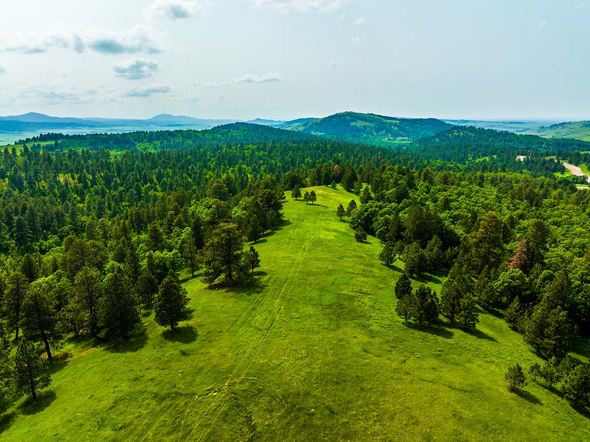 Expansive fields at Spearfish Mountain Ranch.