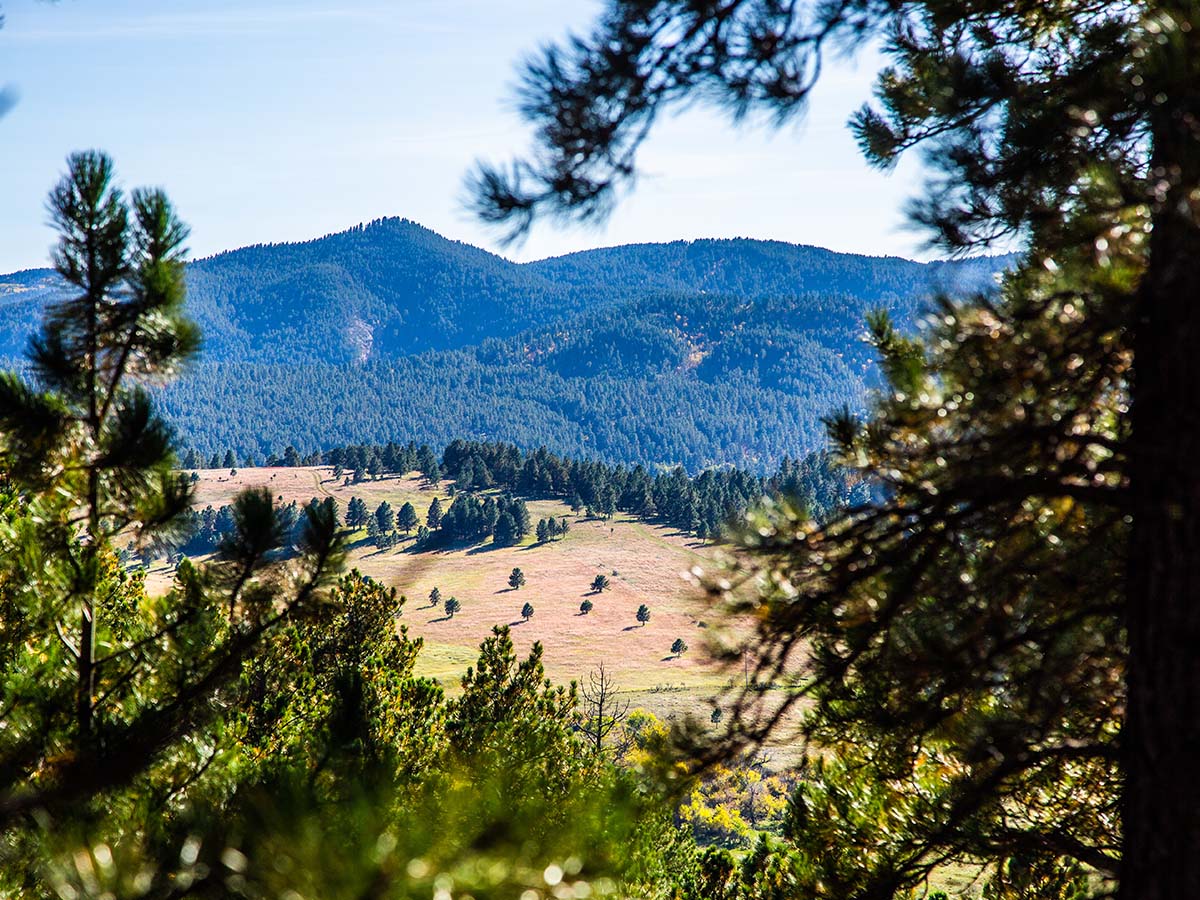 View of the Black Hills at Spearfish Mountain Ranch.
