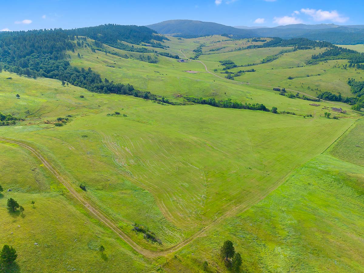 Expansive open field in the Black Hills.