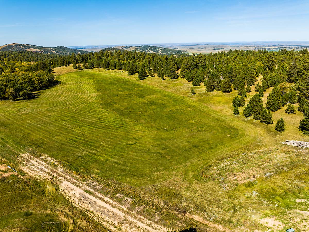 Large field at Spearfish Mountain Ranch.