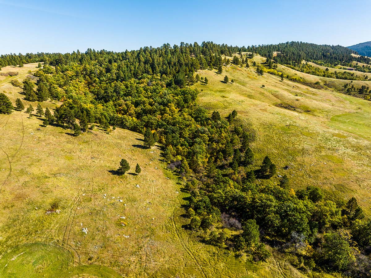Large fields with trees at Spearfish Mountain Ranch.